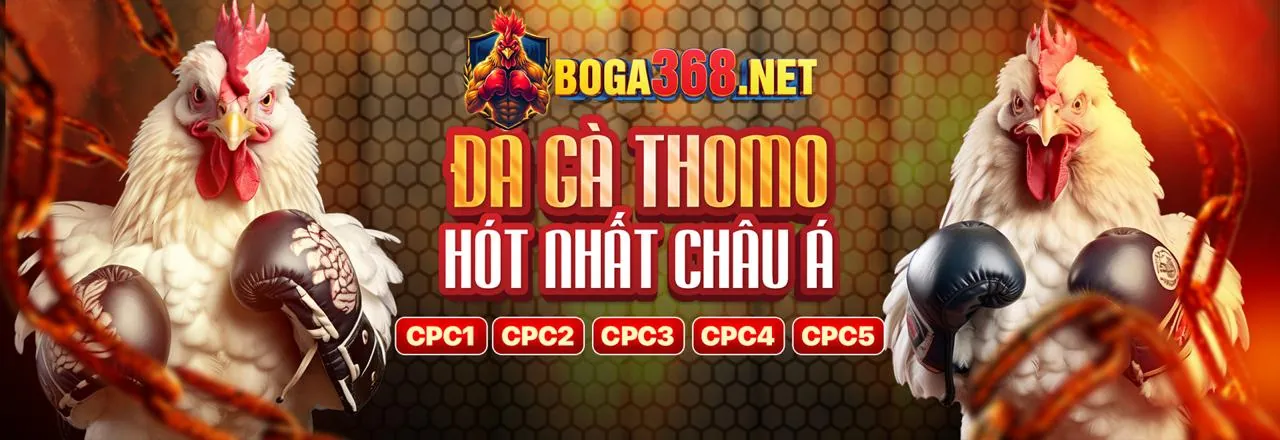 Đá gà trực tuyến kịch tính tại ano88